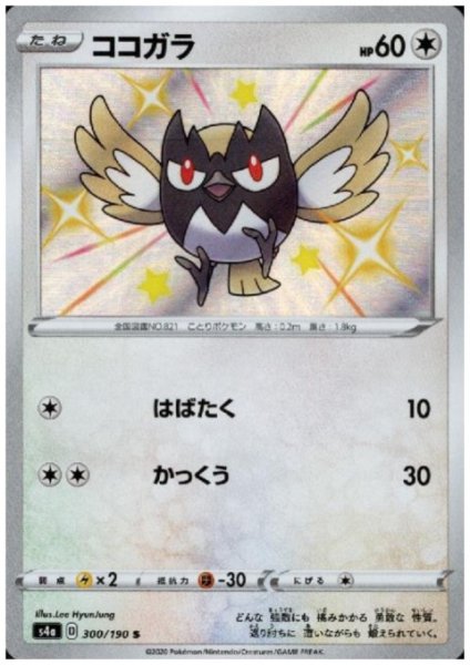 画像1: ココガラ(300/190 S) (1)