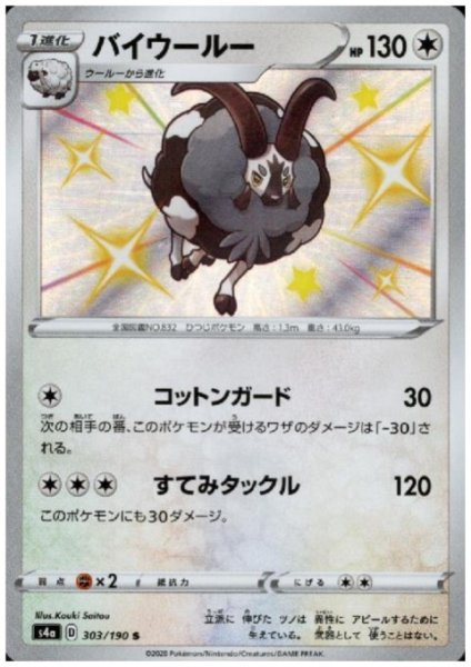 画像1: バイウールー(303/190 S) (1)