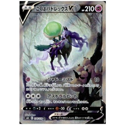画像1: こくばバドレックスV(076/070 SR)