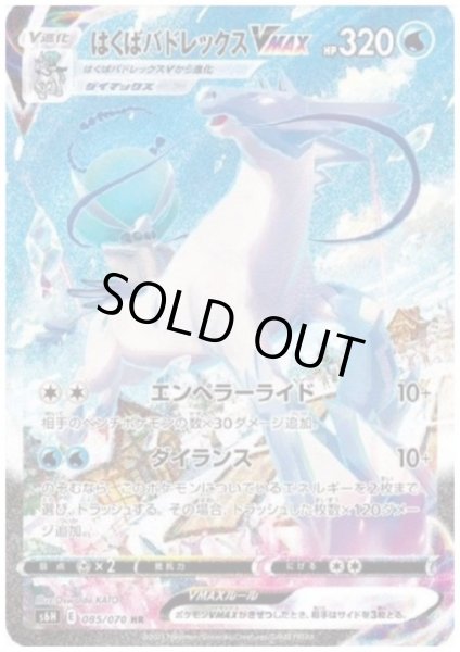 画像1: 【状態B】はくばバドレックスVMAX(085/070 HR) (1)