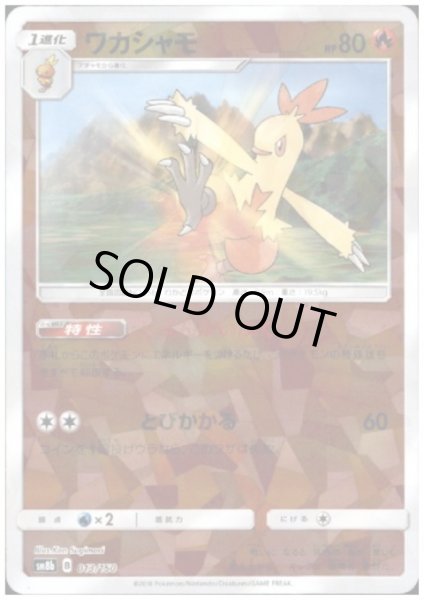 画像1: ワカシャモ(ミラー)(013/150) (1)