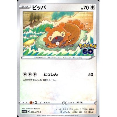 画像1: ビッパ(とっしん)
