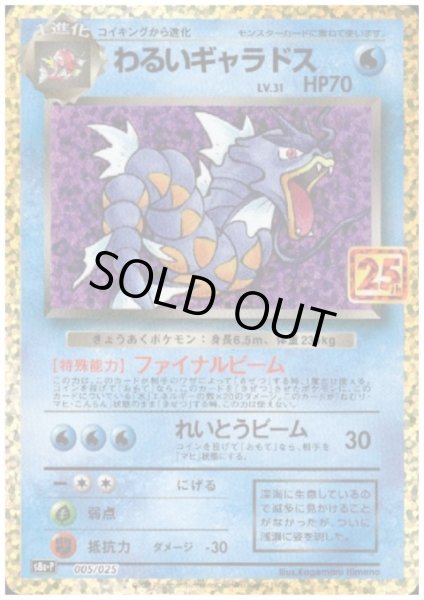 画像1: 【状態B】わるいギャラドス(プロモ)(005/025) (1)