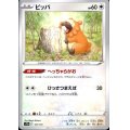 ビッパ(へっちゃらがお/ひっさつまえば)★