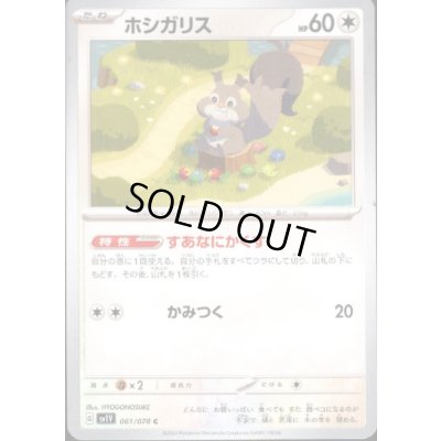 画像1: ホシガリス(あなにかくす/かみつく)