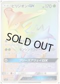 ビリジオンGX(067/060 HR)