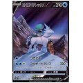 【状態B】はくばバドレックスV(220/184 CSR)