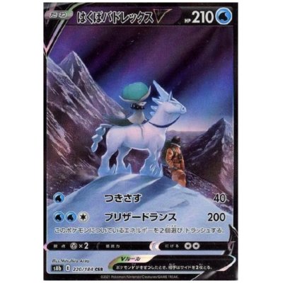 画像1: 【状態B】はくばバドレックスV(220/184 CSR)