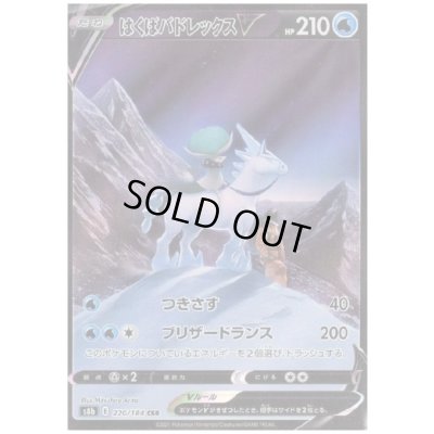 画像1: 【状態B】はくばバドレックスV(220/184 CSR)