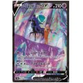 【状態B】こくばバドレックスV(235/184 CSR)