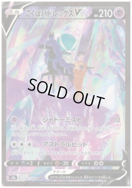 画像1: 【状態B】こくばバドレックスV(235/184 CSR) (1)