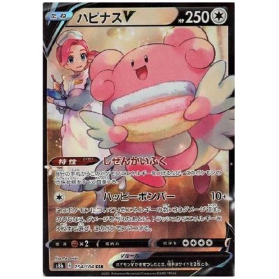 画像1: ハピナスV(254/184 CSR)