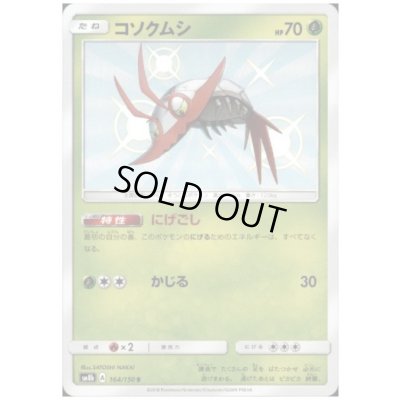 画像1: コソクムシ(164/150 S)