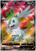 シェイミV(101/100 SR)