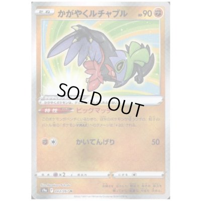 画像1: かがやくルチャブル(043/067 K)