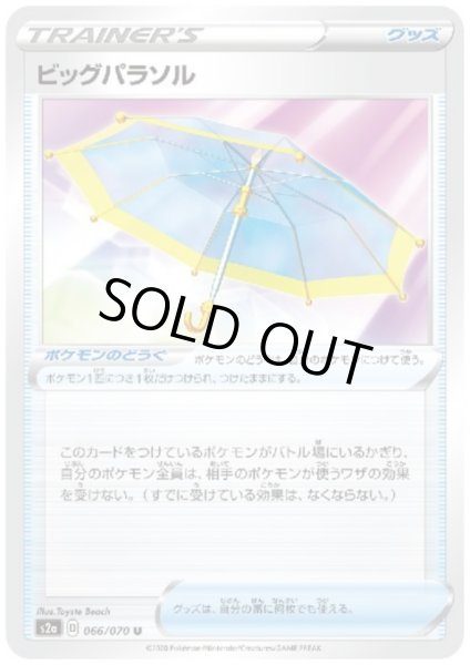 画像1: ビッグパラソル (1)