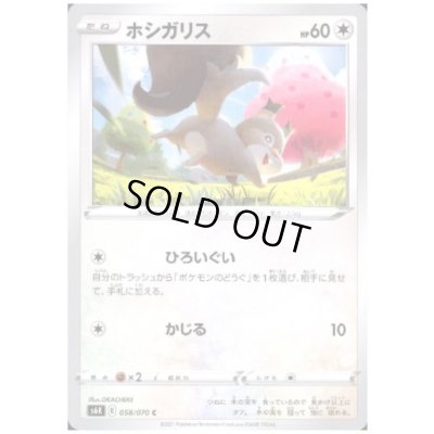 画像1: ホシガリス(ひろいぐい/かじる)