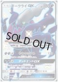 【状態B】ダークライGX(230/150 SSR)