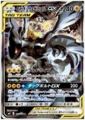 【状態B】ピカチュウ&ゼクロムGX(101/095 SR)