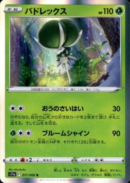 画像1: バドレックス(011/068 R) (1)