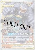 マーシャドー&カイリキーGX(042/095 RR)