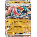 ゲッコウガex(045/066 RR)