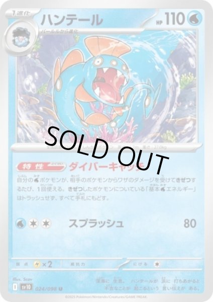 画像1: ハンテール(ダイバーキャッチ/スプラッシュ) (1)