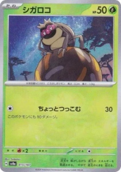 画像1: シガロコ(013/187)(ミラー/マスターボール) (1)