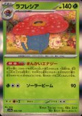 ラフレシア(003/190 )(ホイル)