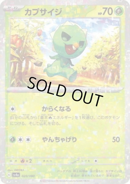 画像1: カプサイジ(020/190)(ミラー) (1)