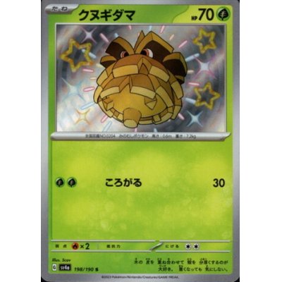画像1: クヌギダマ(198/190 S)