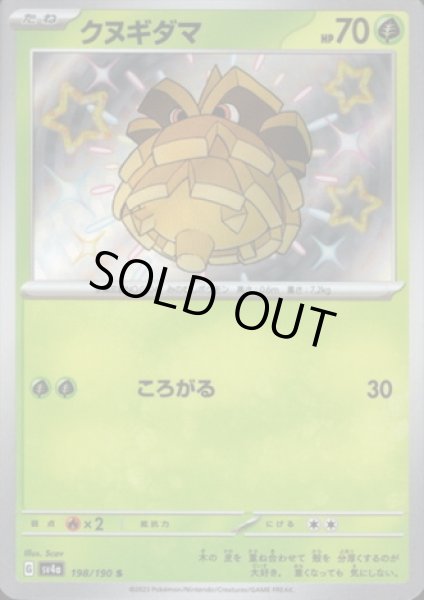 画像1: クヌギダマ(198/190 S) (1)