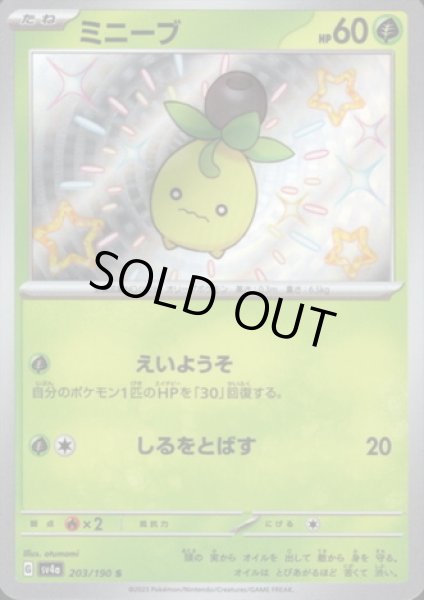 画像1: ミニーブ(203/190 S) (1)