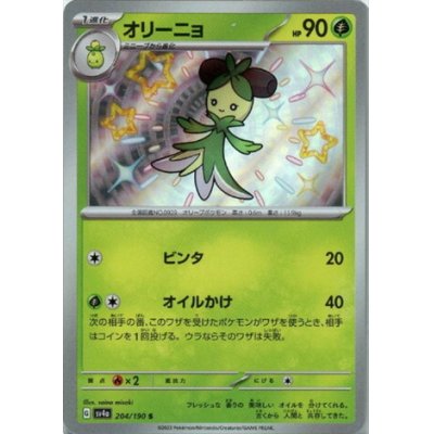画像1: オリーニョ(204/190 S)
