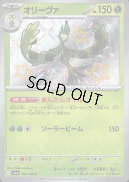 画像1: オリーヴァ(205/190 S) (1)