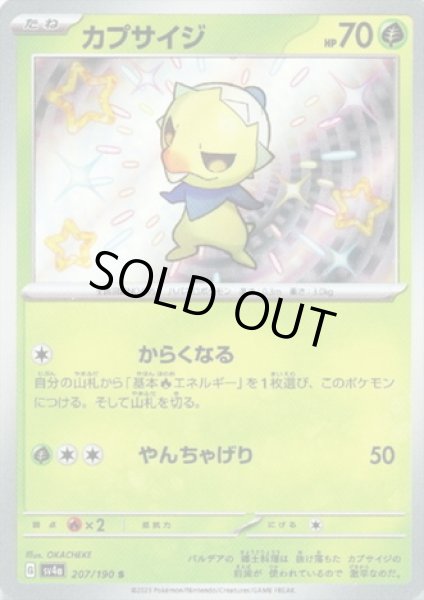 画像1: カプサイジ(207/190 S) (1)