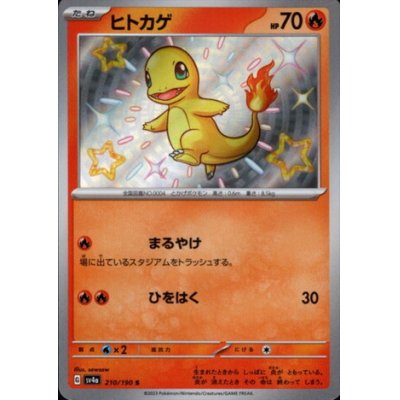 画像1: ヒトカゲ(210/190 S)