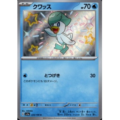 画像1: クワッス(224/190 S)