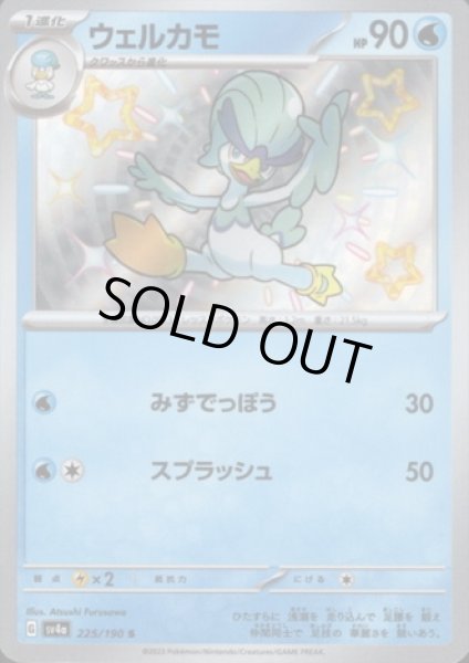 画像1: ウェルカモ(225/190 S) (1)