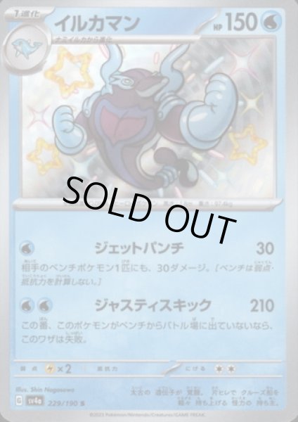 画像1: イルカマン(229/190 S) (1)