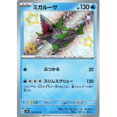 画像1: ミガルーサ(230/190 S)