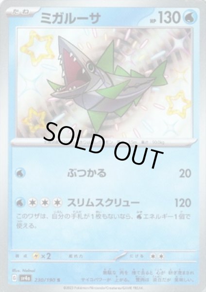 画像1: ミガルーサ(230/190 S) (1)