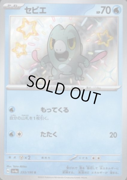 画像1: セビエ(233/190 S) (1)