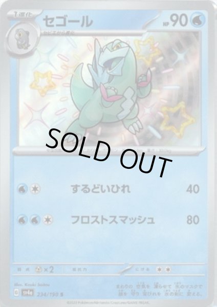 画像1: セゴール(234/190 S) (1)