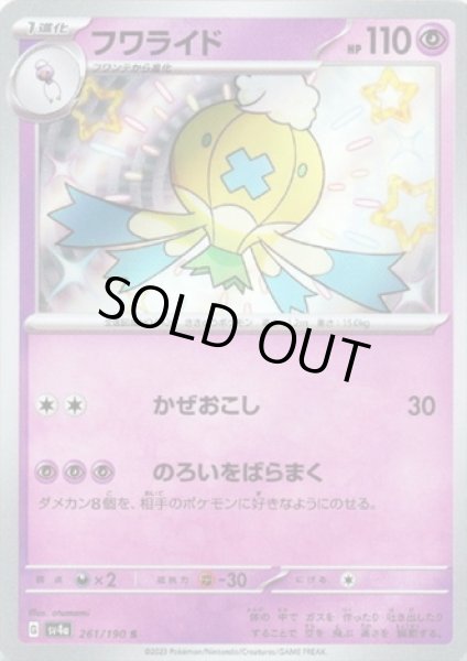 画像1: フワライド(261/190 S) (1)