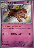 バウッツェル(267/190 S)