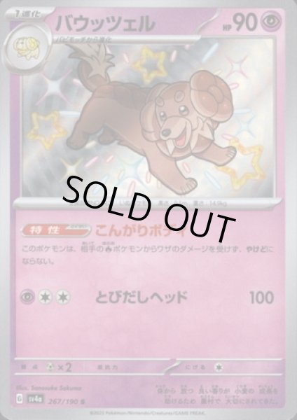 画像1: バウッツェル(267/190 S) (1)