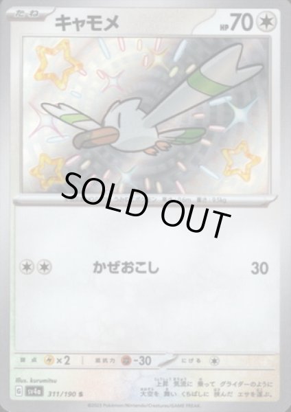 画像1: キャモメ(311/190 S) (1)