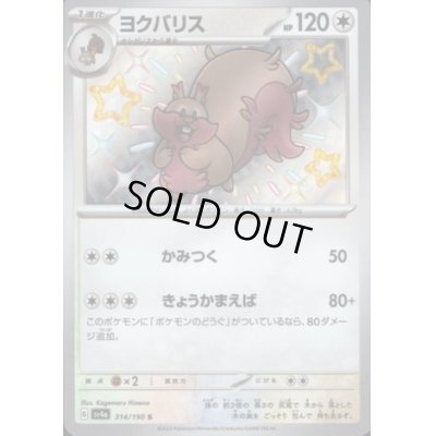 画像1: ヨクバリス(314/190 S)