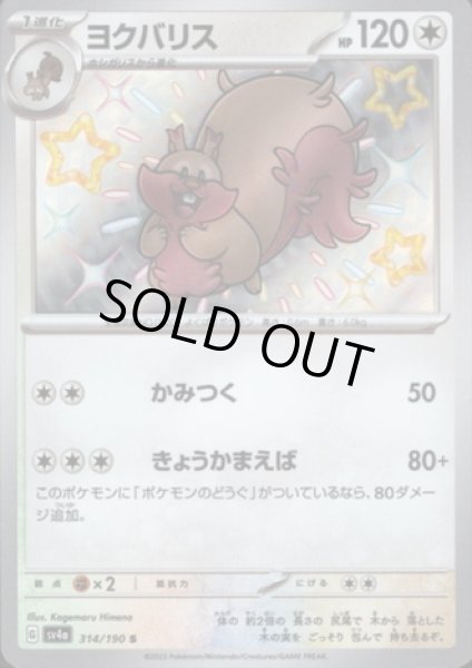 画像1: ヨクバリス(314/190 S) (1)